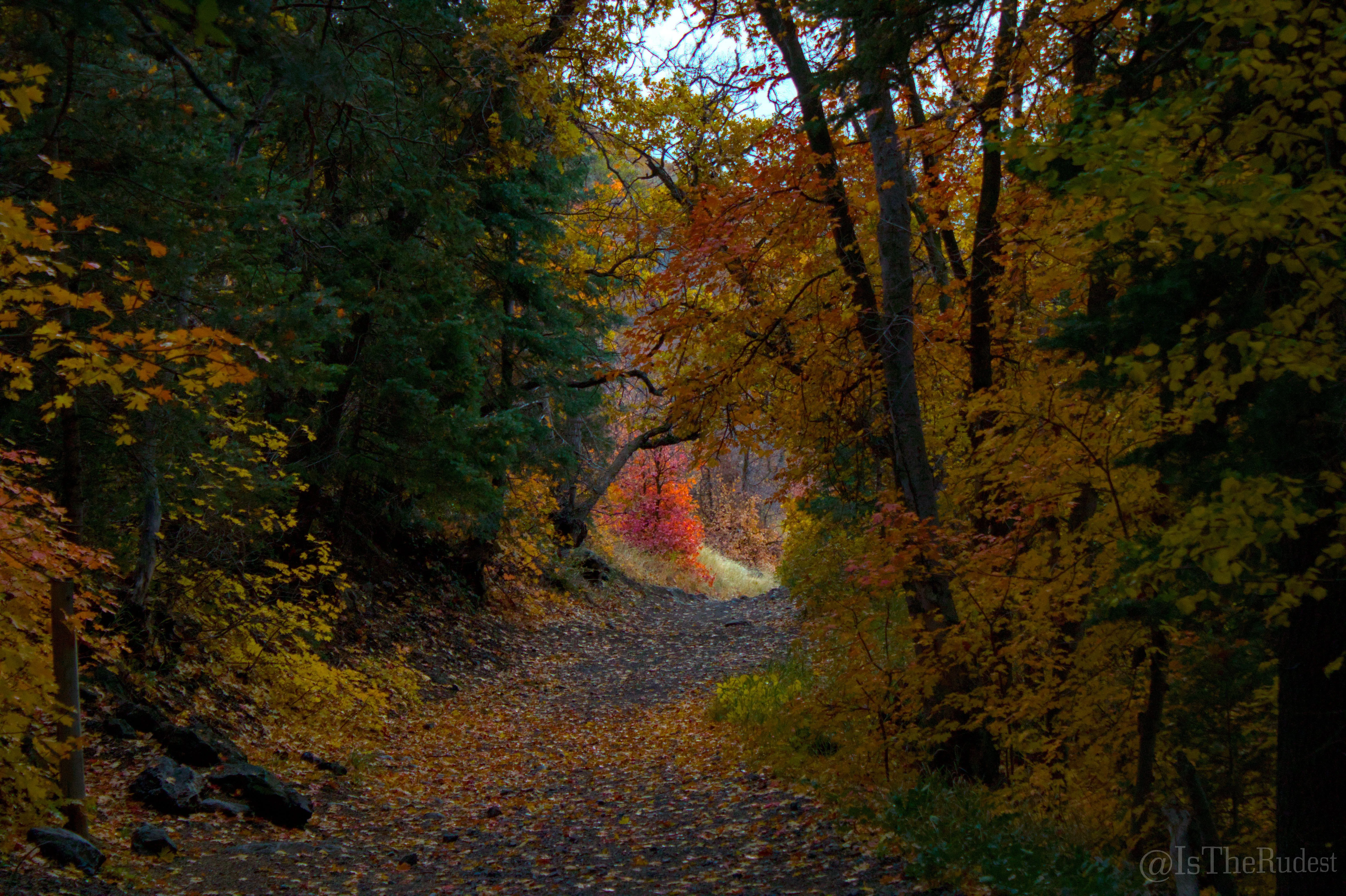 Hard money loans in Alpine, UT Utah